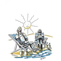 Summer Knights
